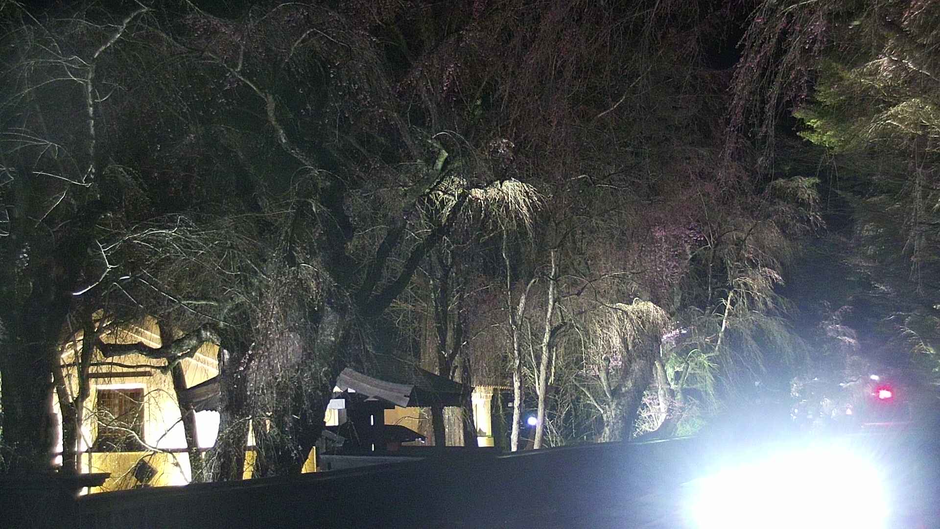 area3-20250420214027.jpg