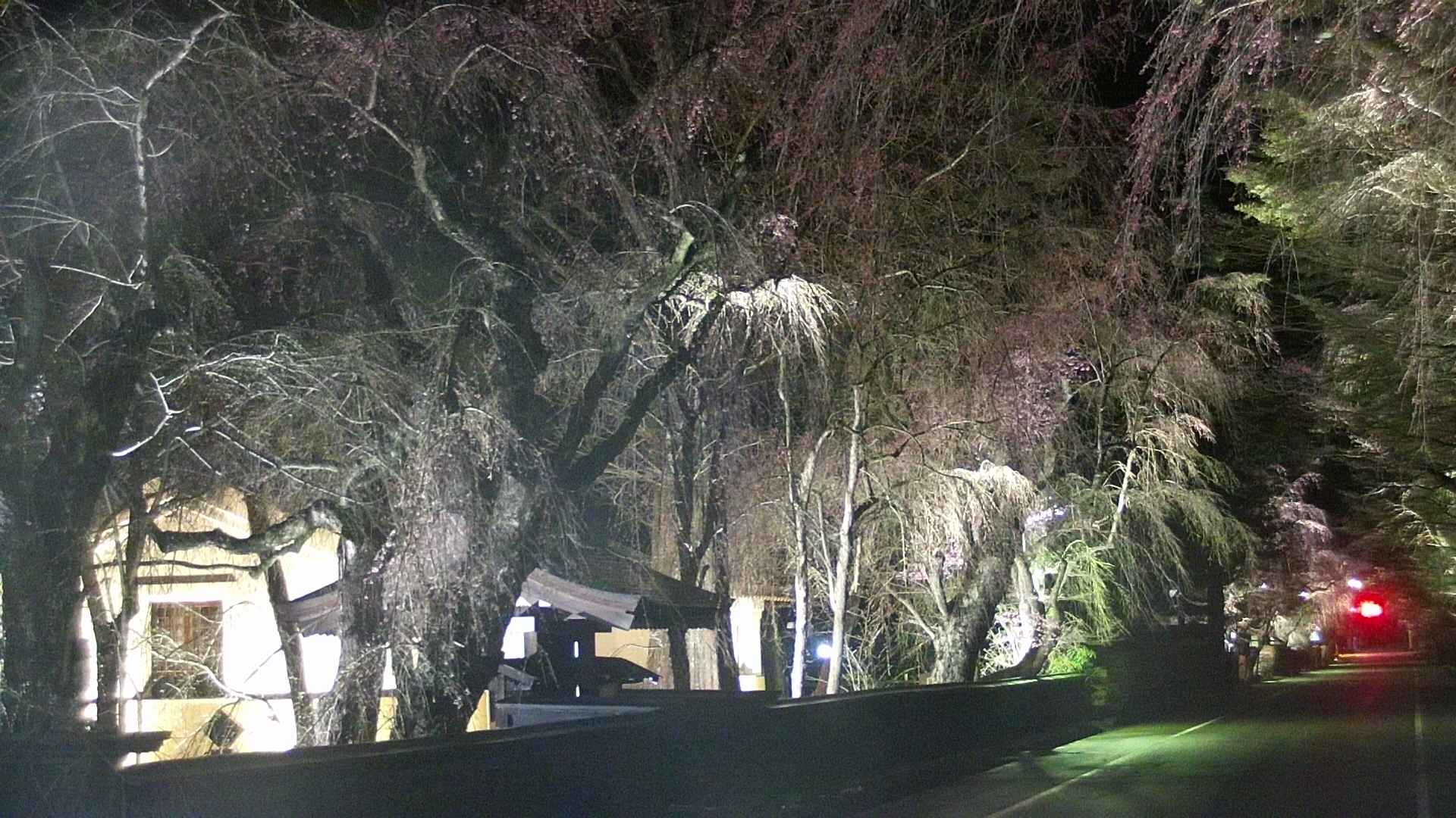 area3-20250420215029.jpg