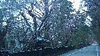 area3-20250421050027.jpg