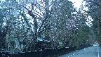 area3-20250421051026.jpg