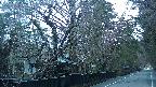 area3-20250421052030.jpg