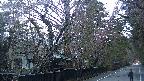 area3-20250421053031.jpg