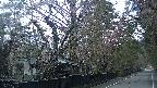 area3-20250421054029.jpg