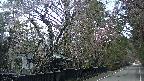 area3-20250421055028.jpg