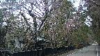 area3-20250421060028.jpg