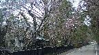 area3-20250421061027.jpg