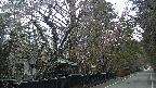 area3-20250421064030.jpg