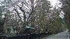 area3-20250421070029.jpg