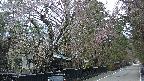 area3-20250421074029.jpg