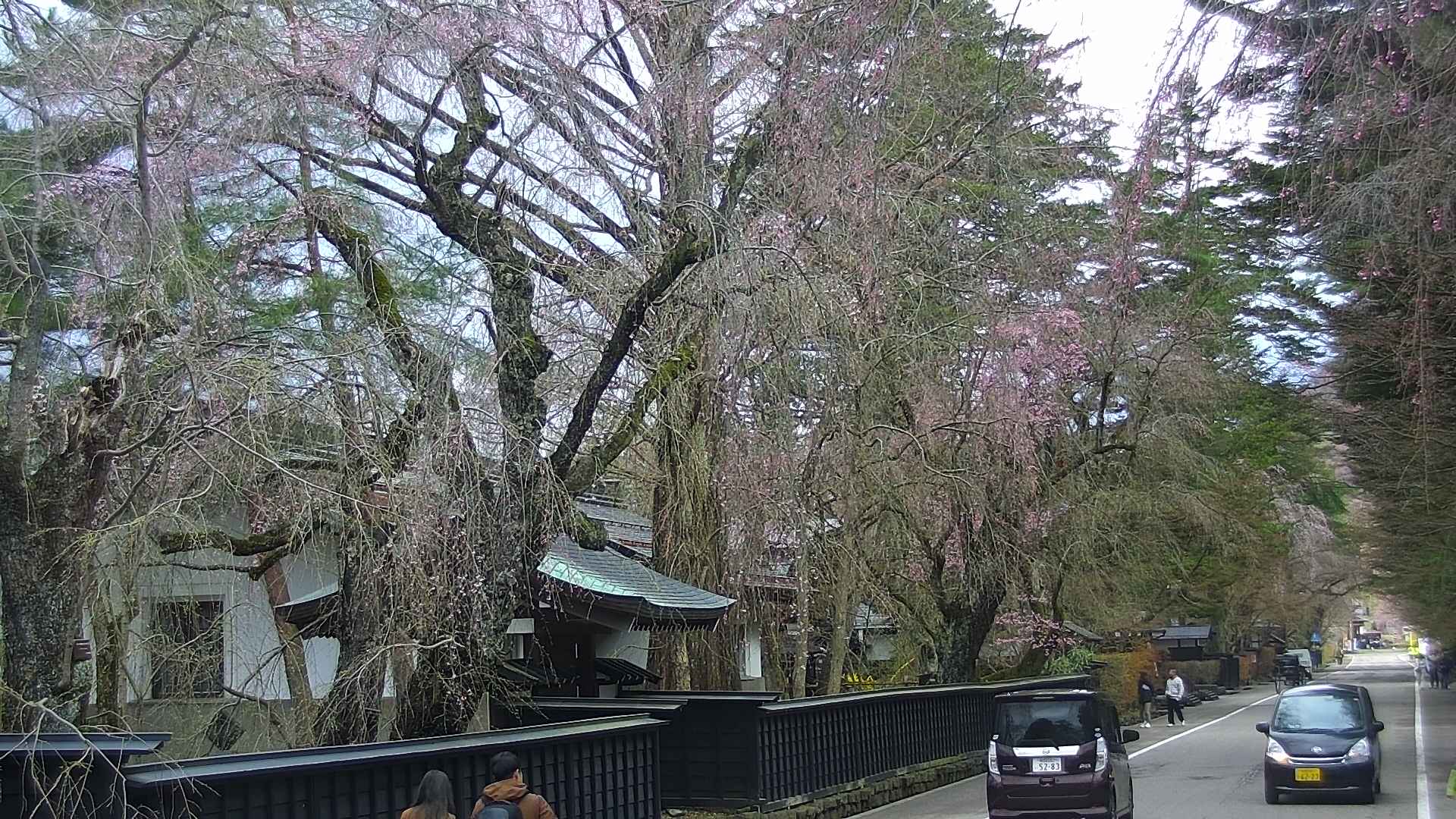 area3-20250421083030.jpg