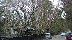 area3-20250421094028.jpg