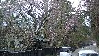 area3-20250421173028.jpg