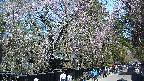 area3-20250422105028.jpg