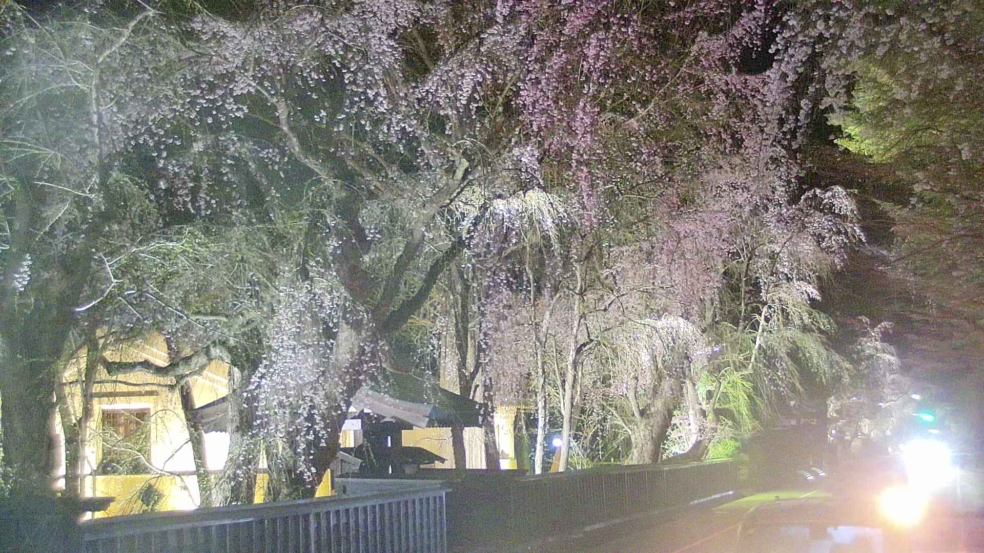area3-20250422211026.jpg