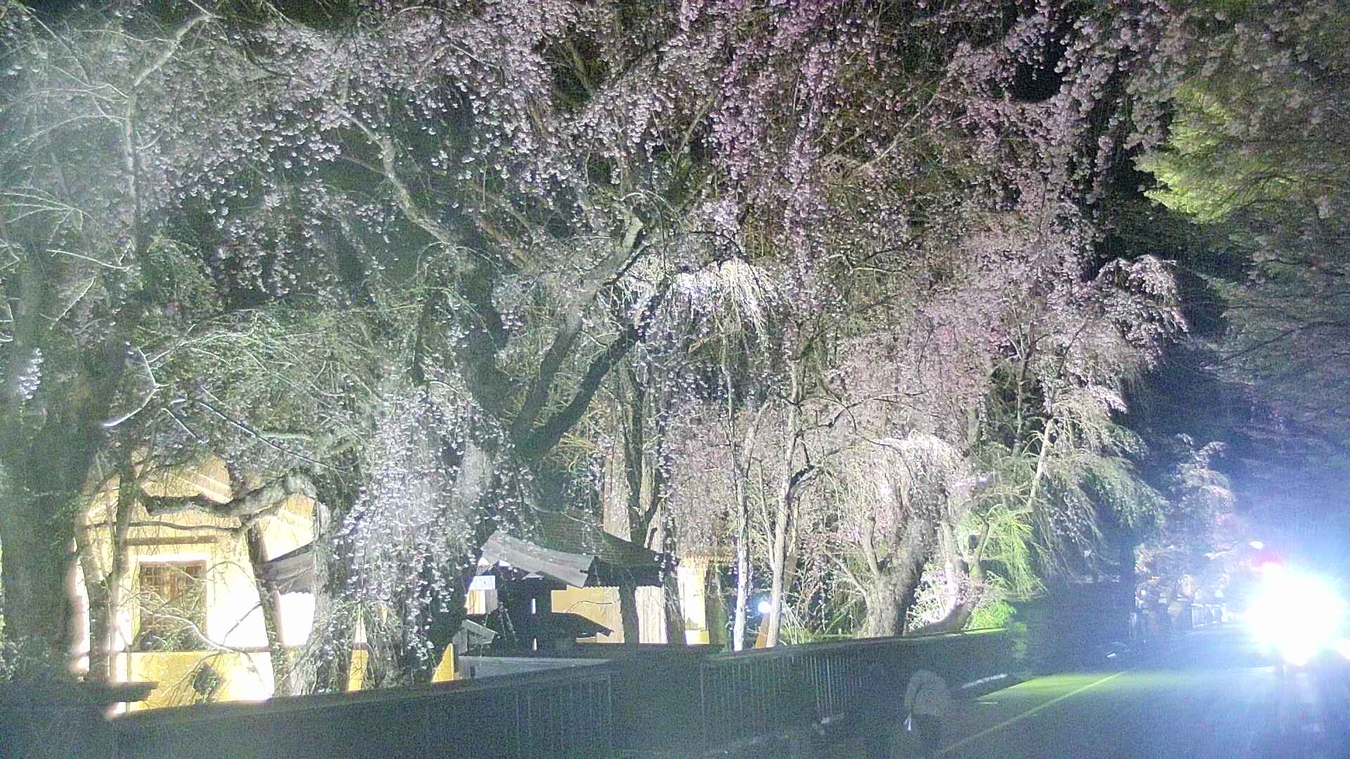 area3-20250422212027.jpg