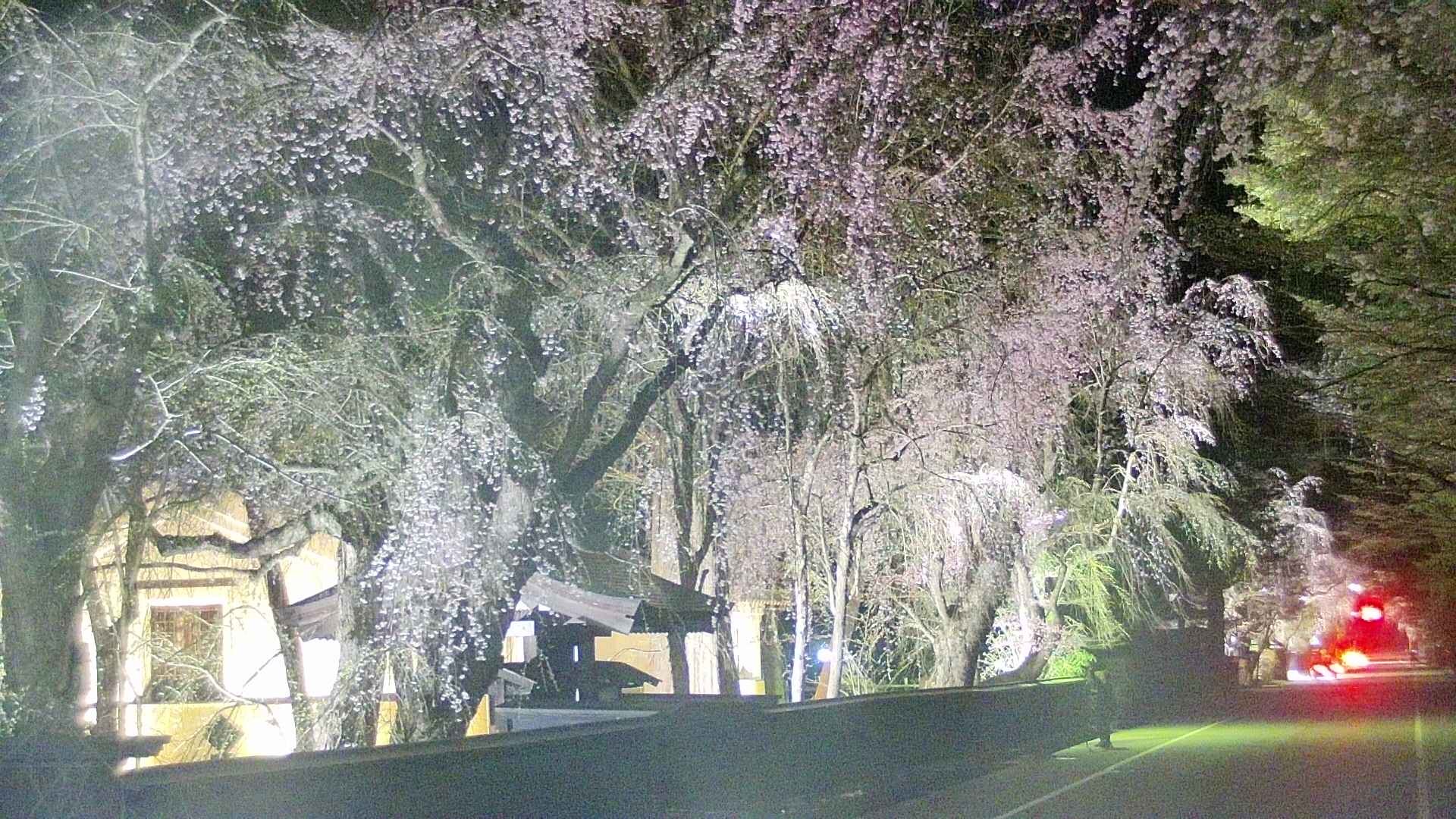 area3-20250422215029.jpg