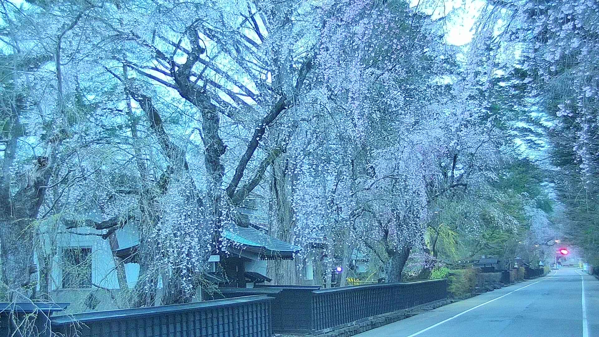 area3-20250423045027.jpg