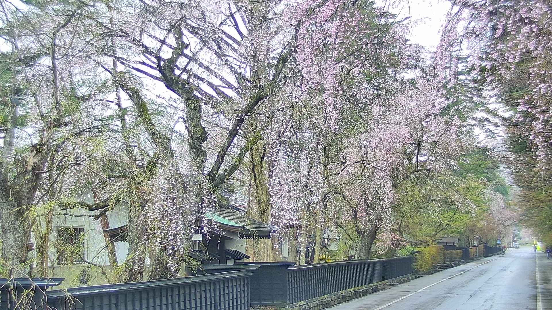 area3-20250423083030.jpg