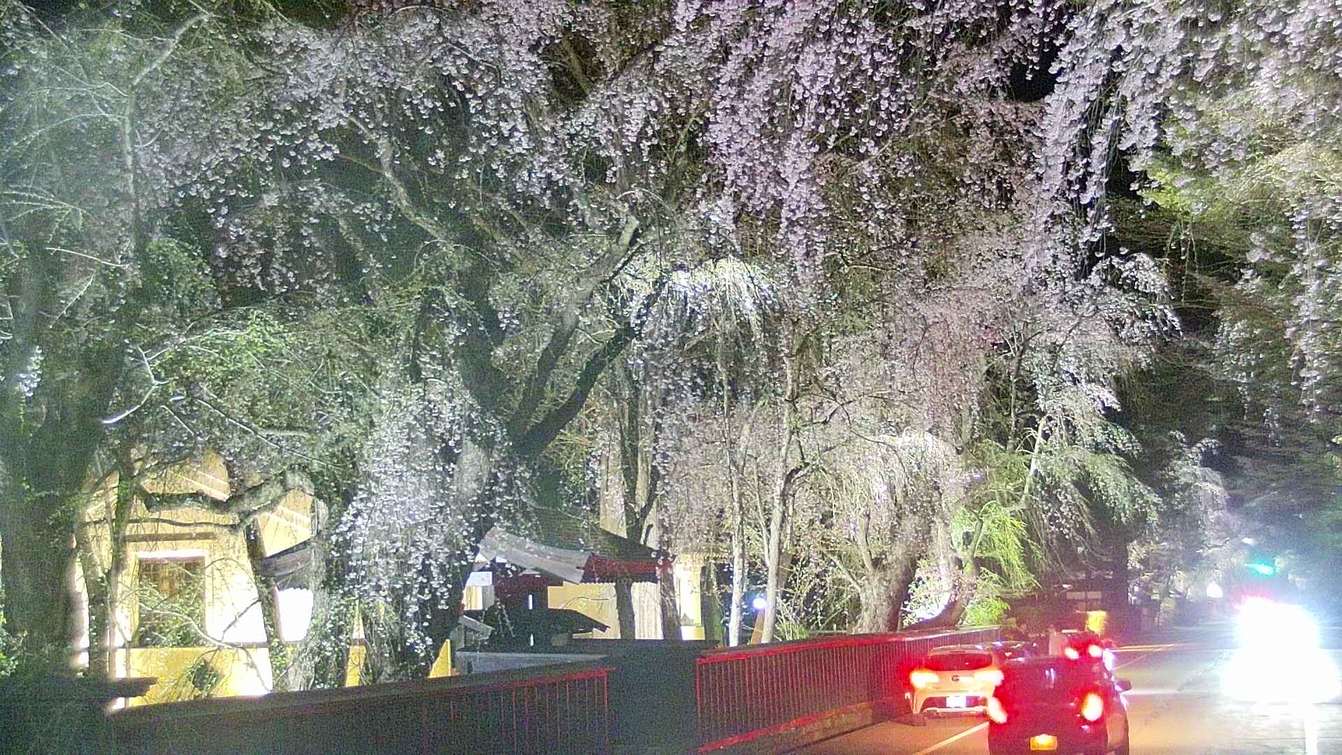 area3-20250423211028.jpg