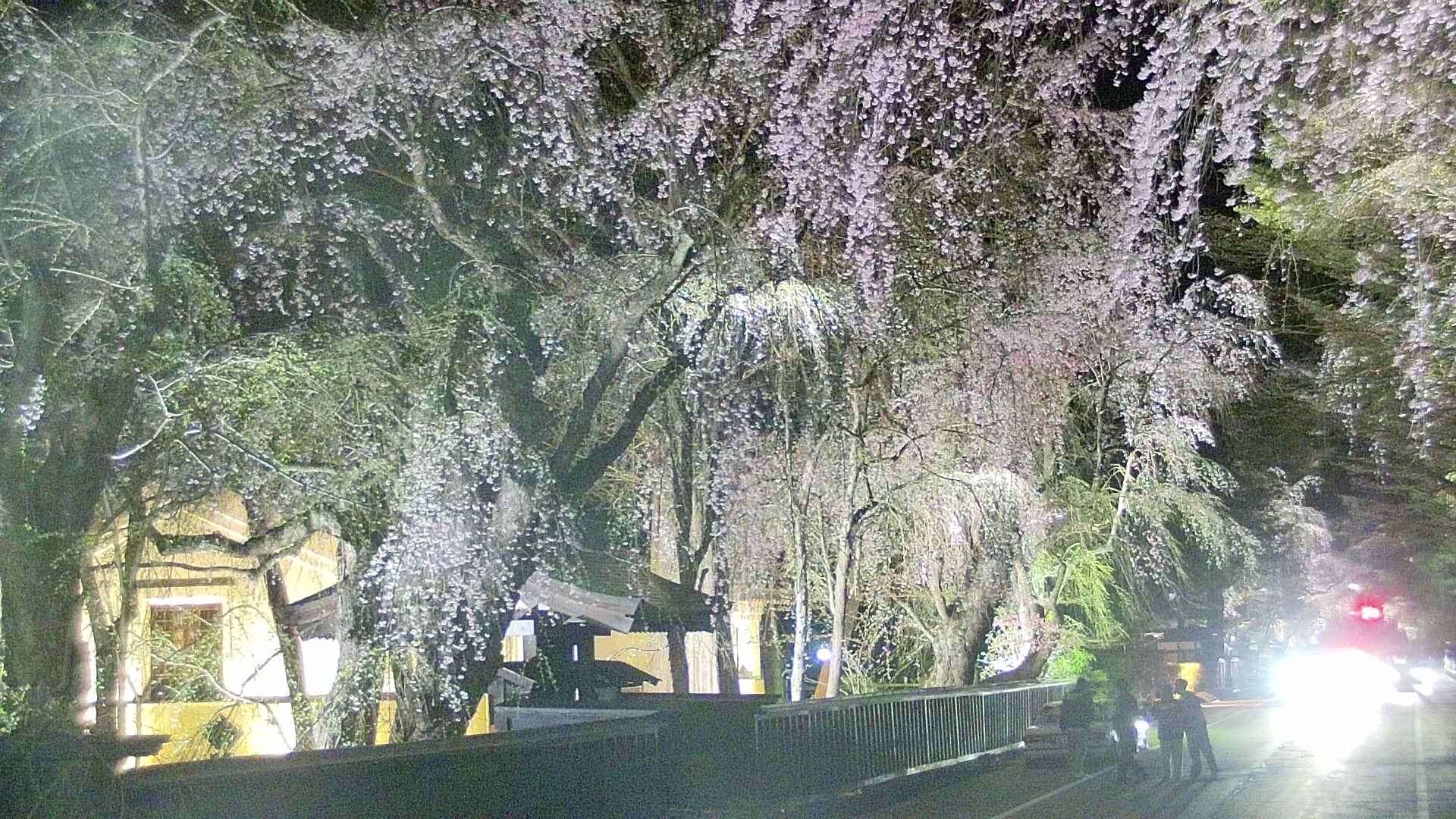 area3-20250423215028.jpg