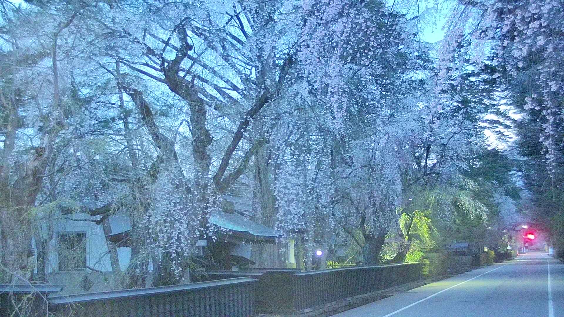 area3-20250424043028.jpg