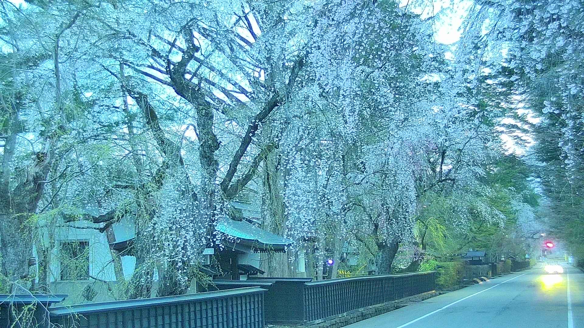 area3-20250424044027.jpg