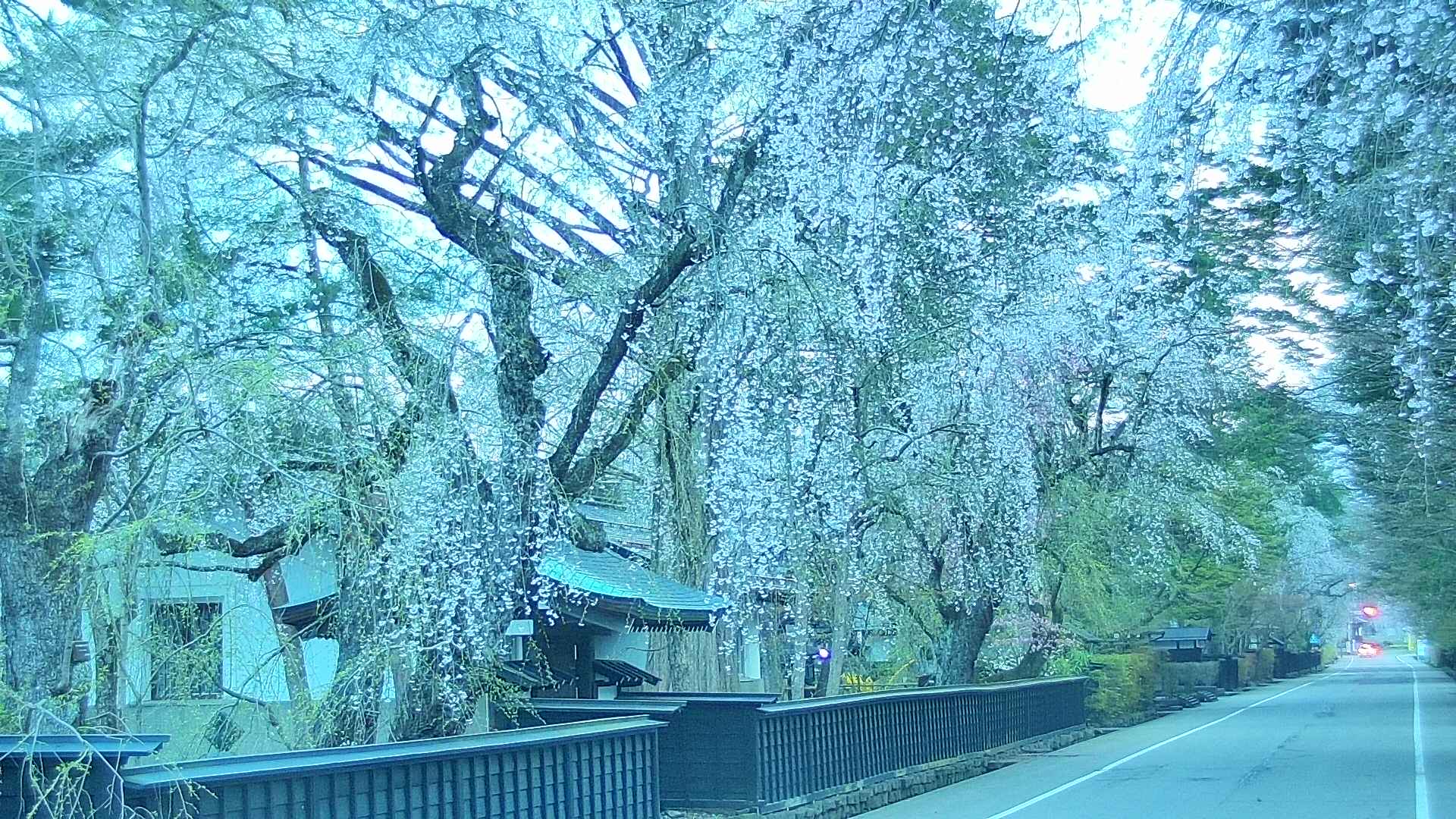 area3-20250424045029.jpg