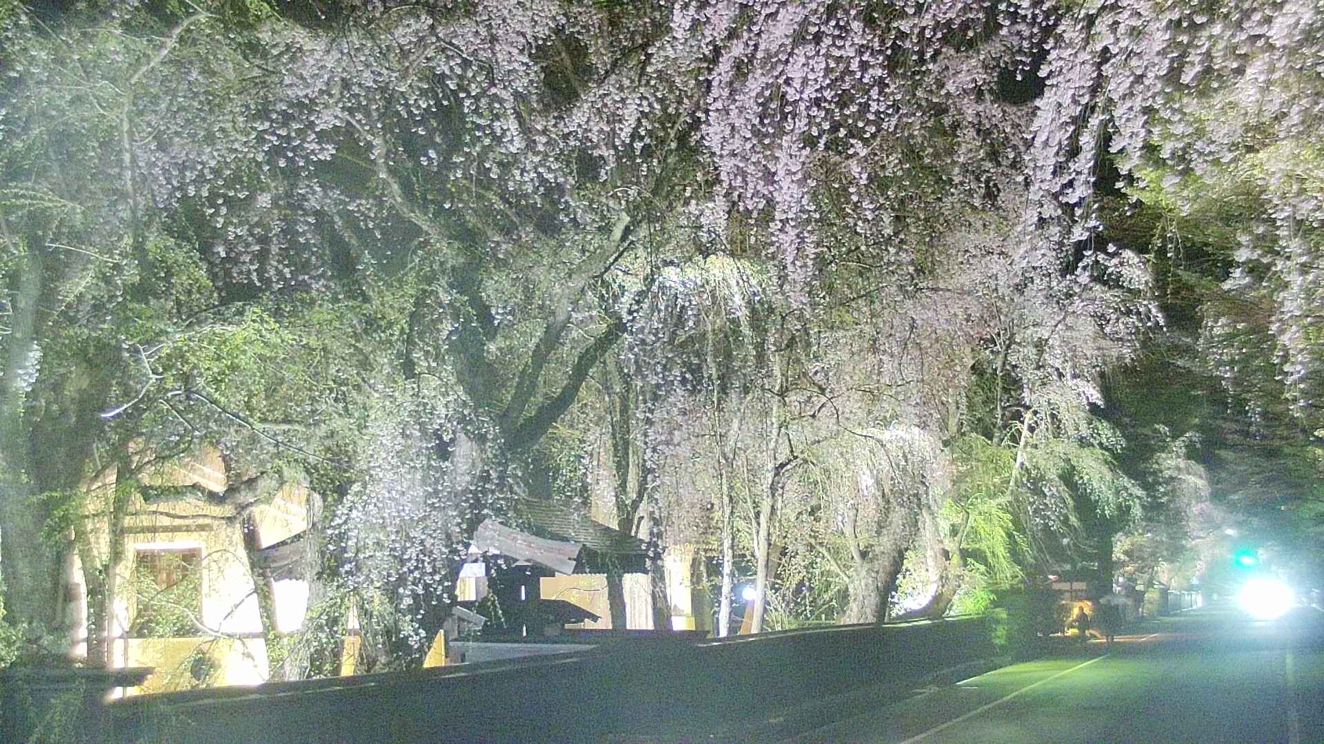 area3-20250424211028.jpg
