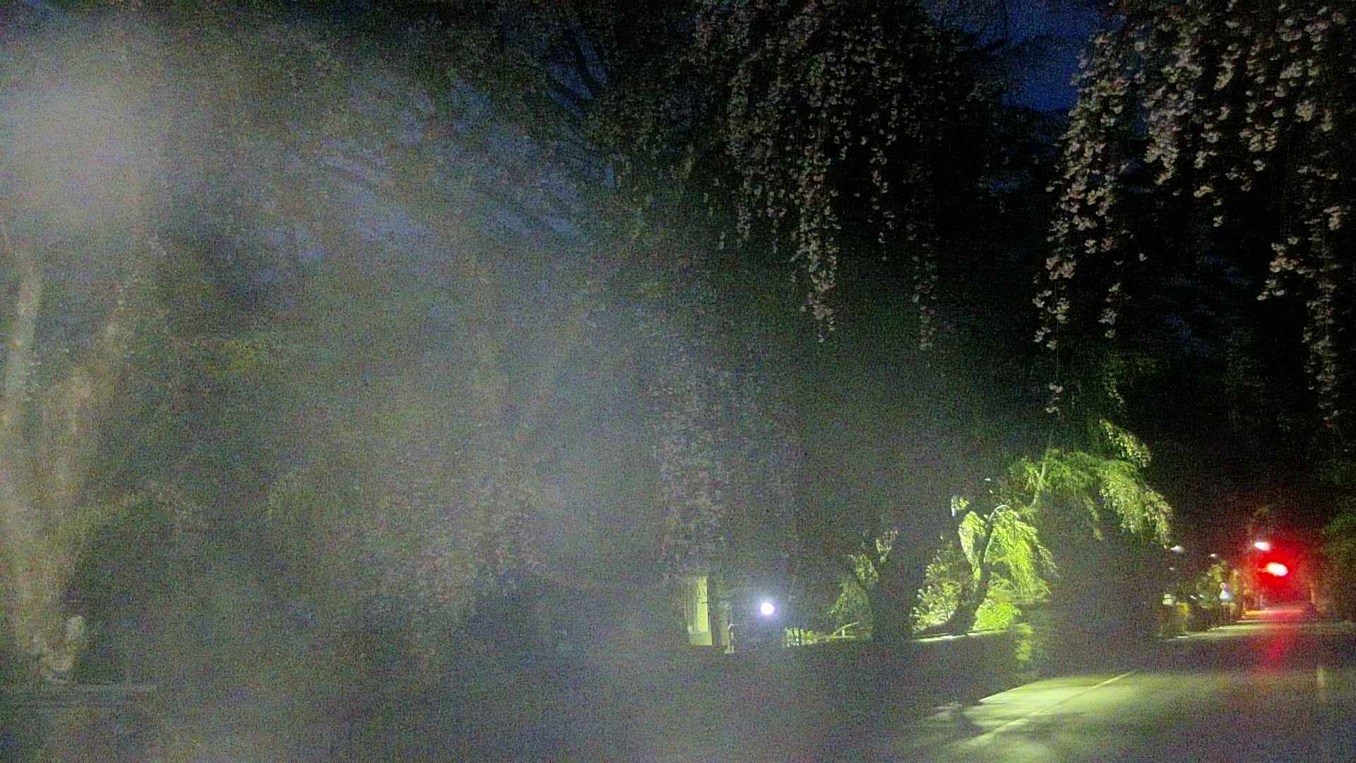 area3-20250425041027.jpg
