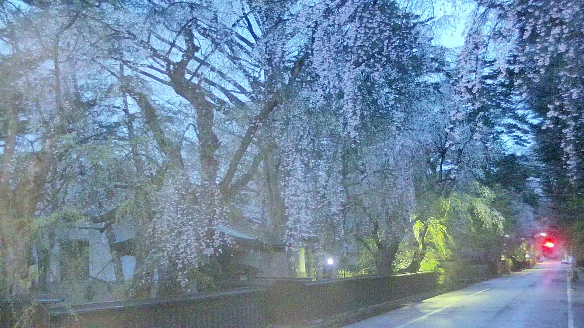 area3-20250425043028.jpg