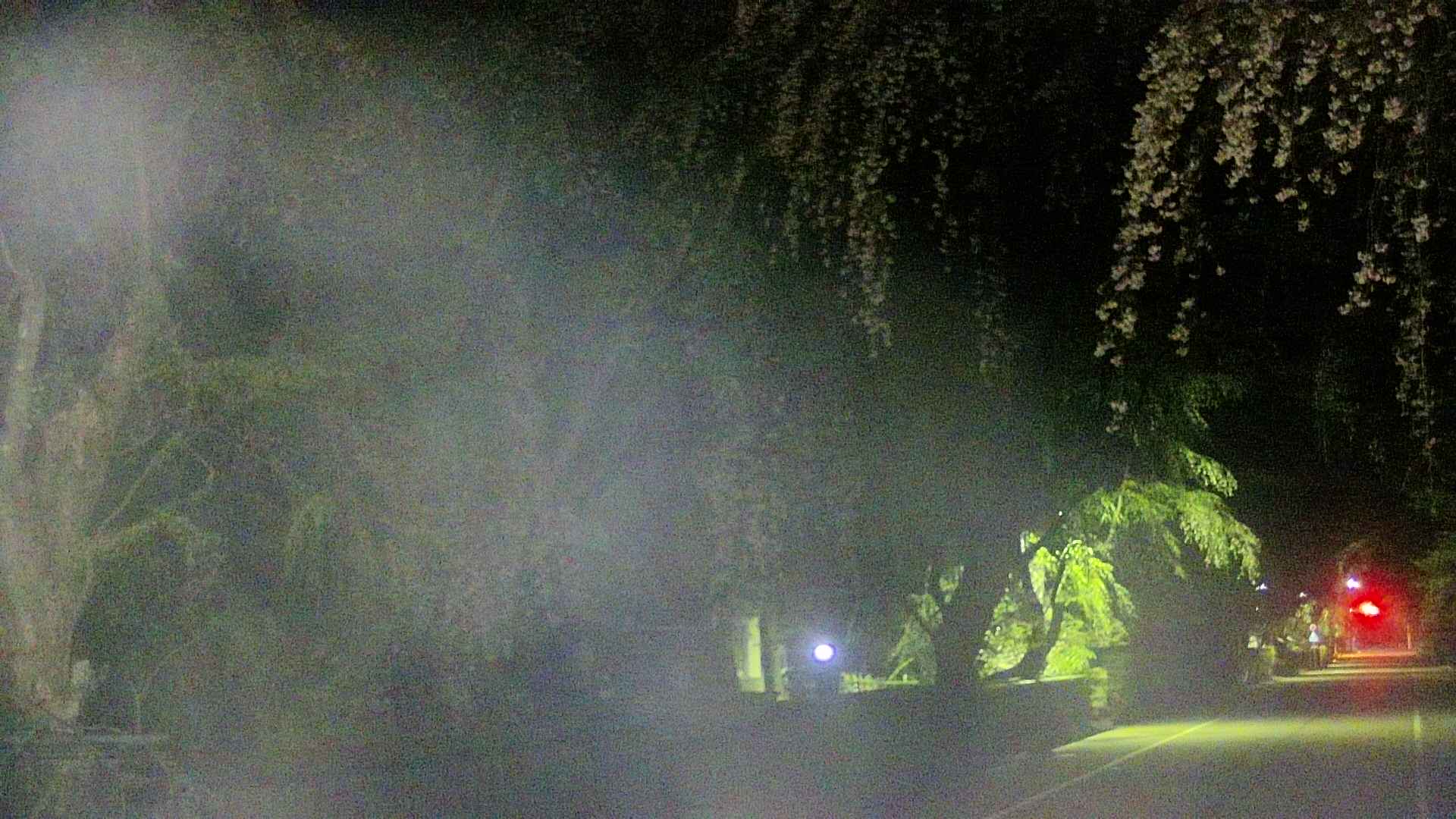 area3-20250426031027.jpg