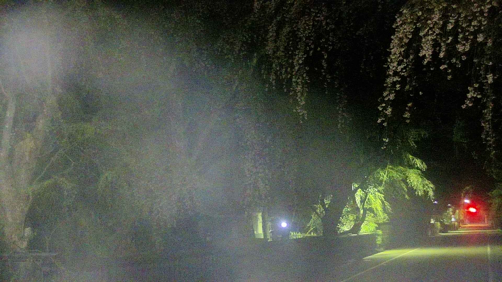 area3-20250426032028.jpg