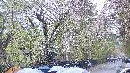 area3-20250426160029.jpg