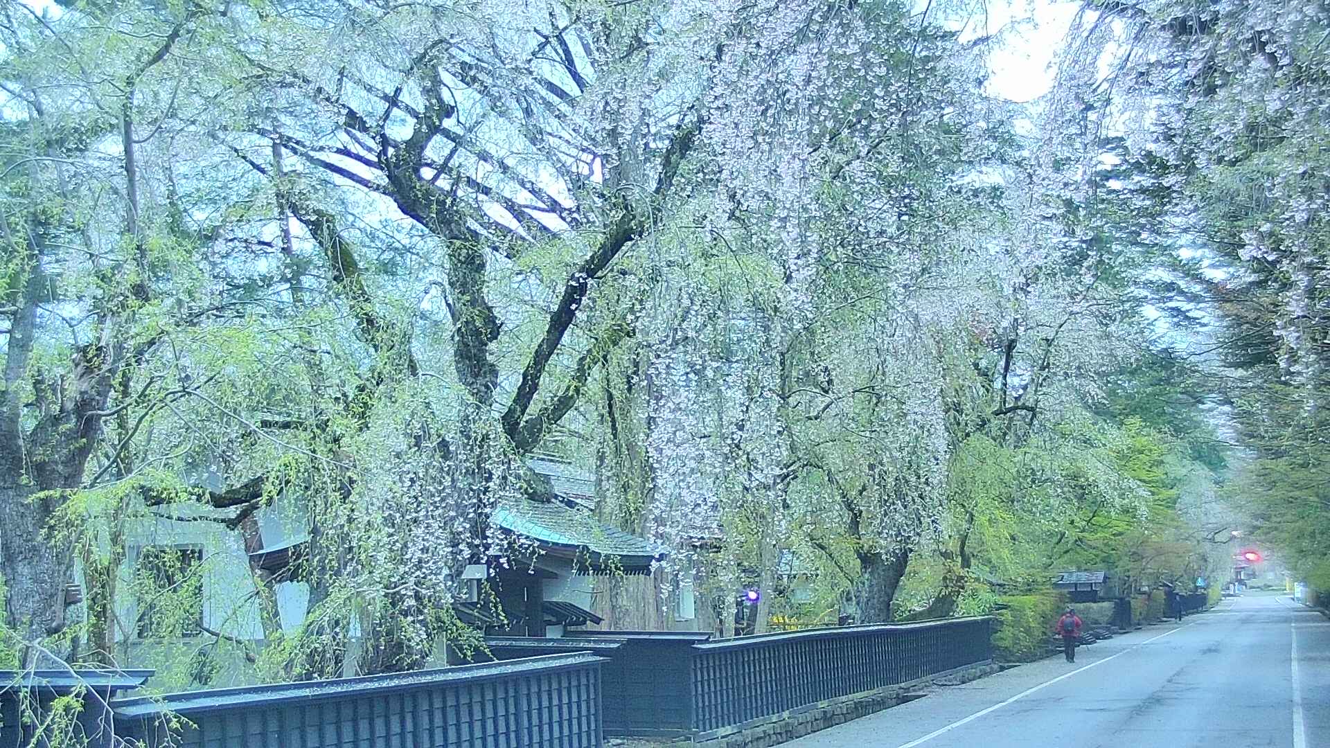 area3-20250427045028.jpg
