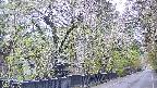 area3-20250427053028.jpg