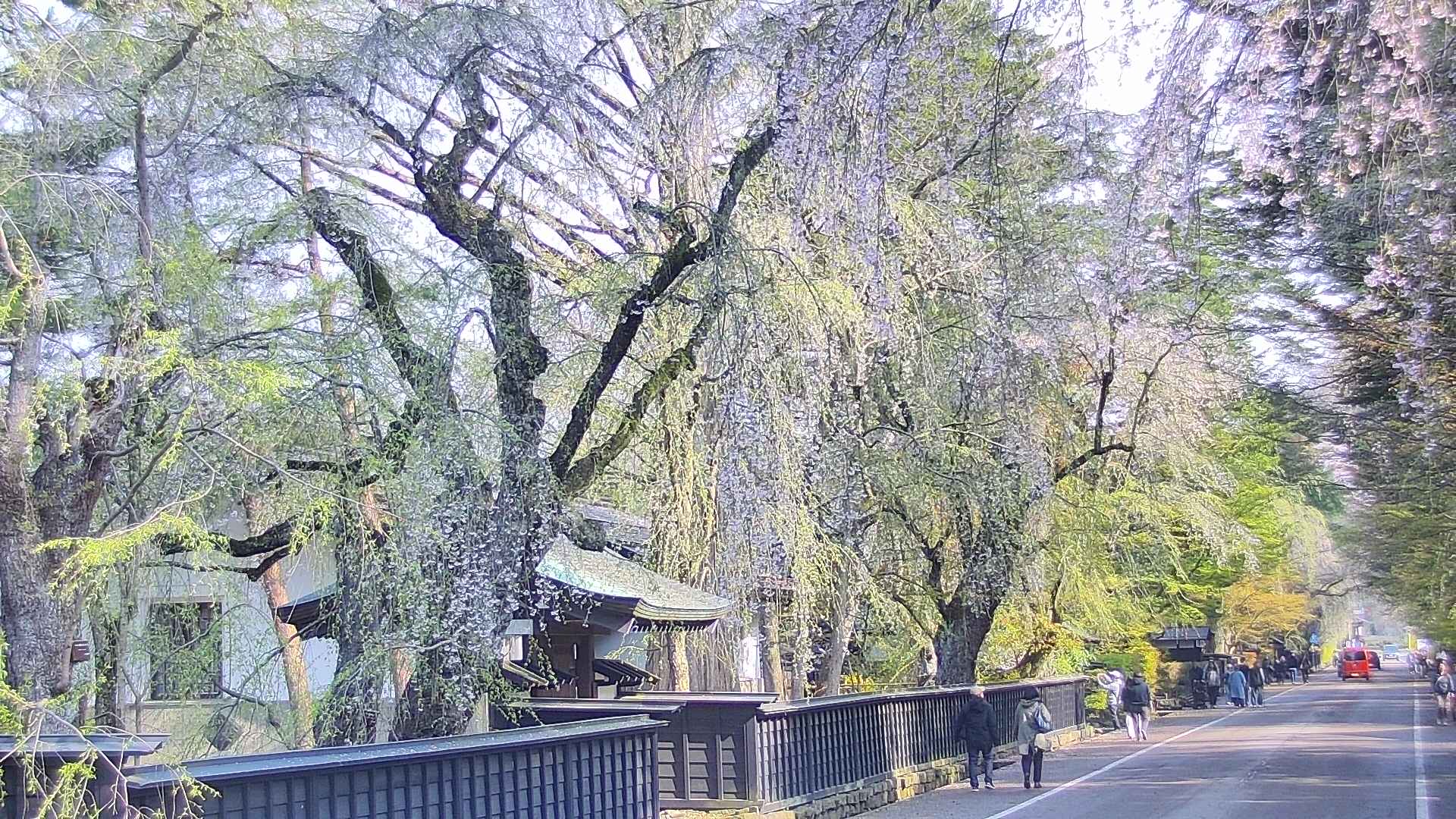 area3-20250427075028.jpg