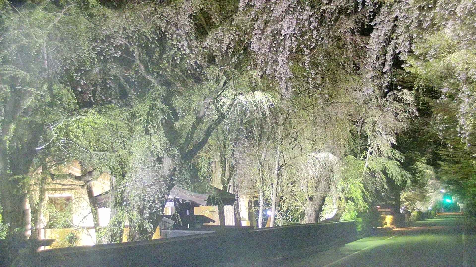 area3-20250427211029.jpg