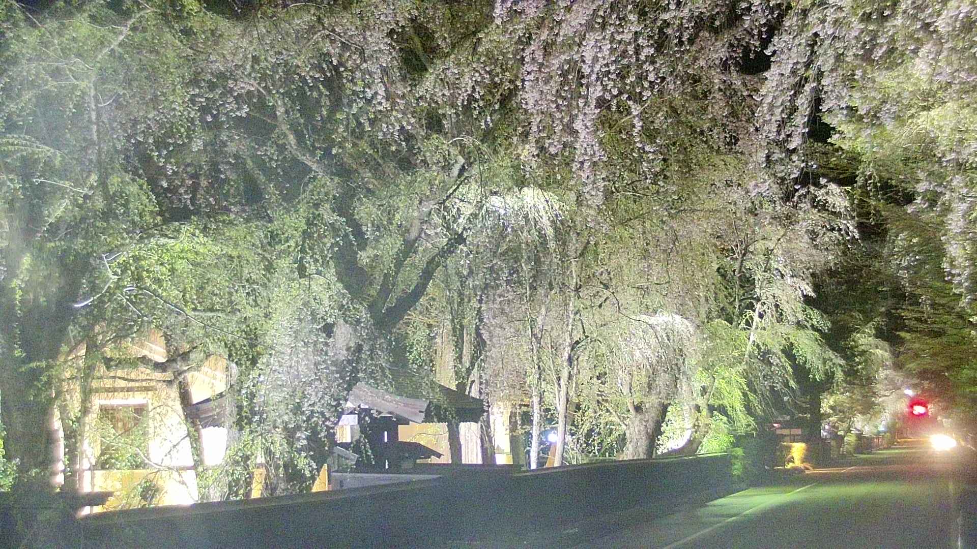 area3-20250427212028.jpg