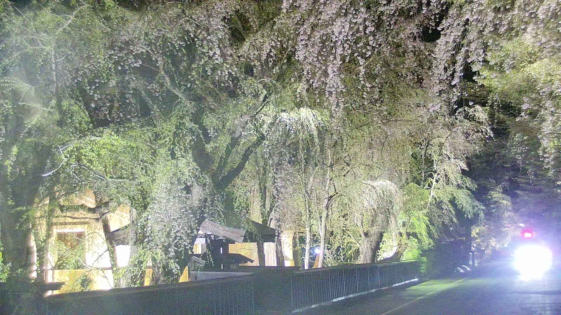area3-20250427215028.jpg