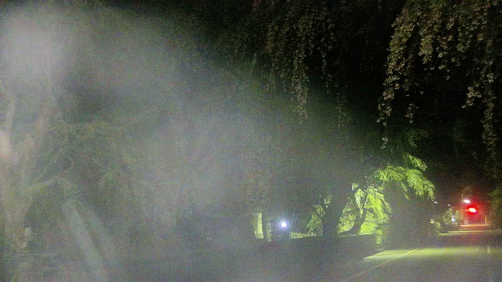 area3-20250428031028.jpg
