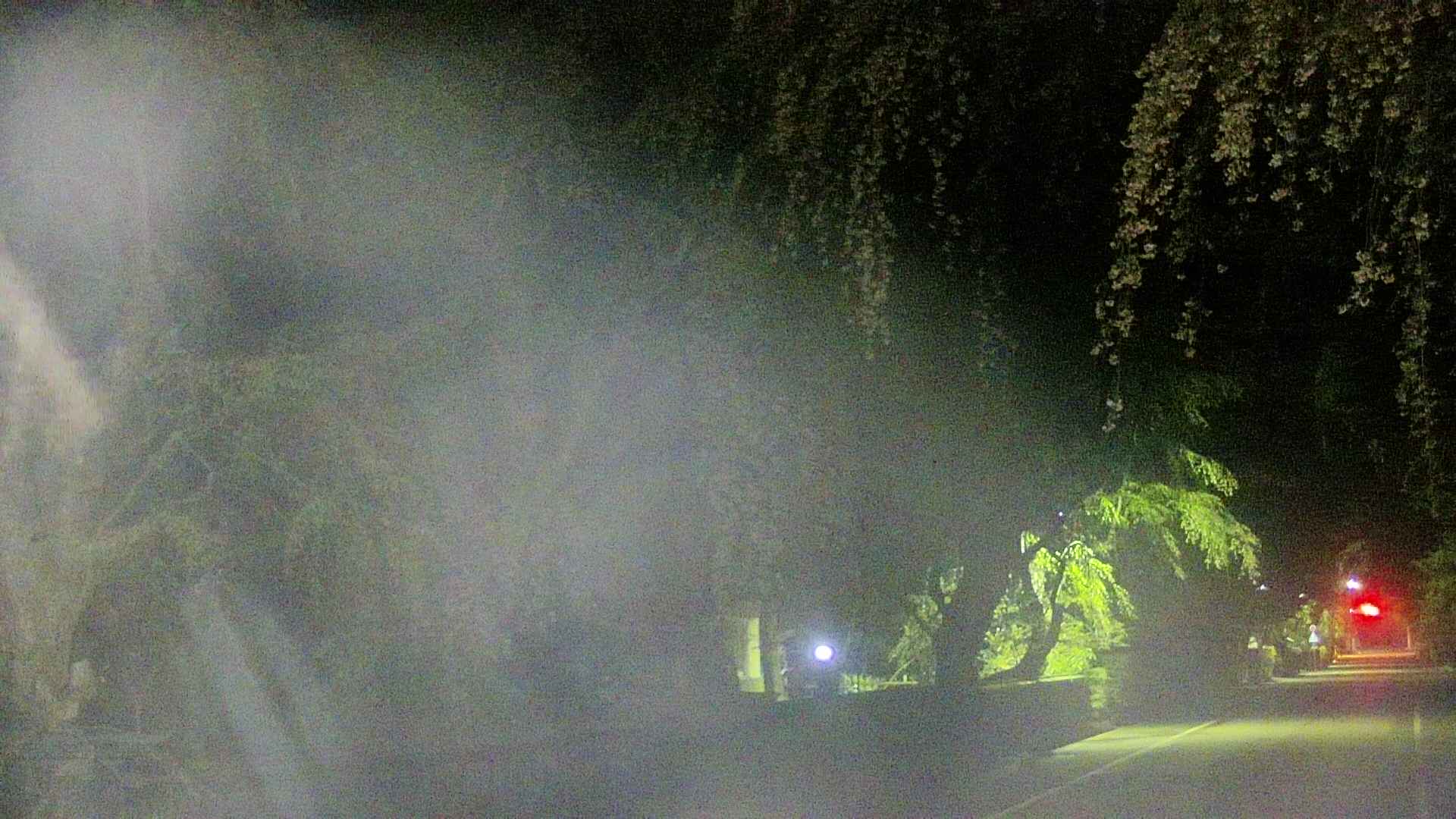 area3-20250428033029.jpg