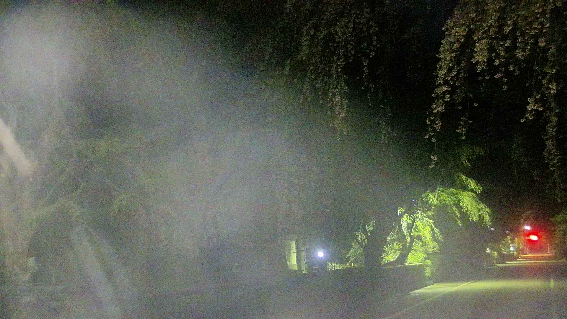 area3-20250428035028.jpg