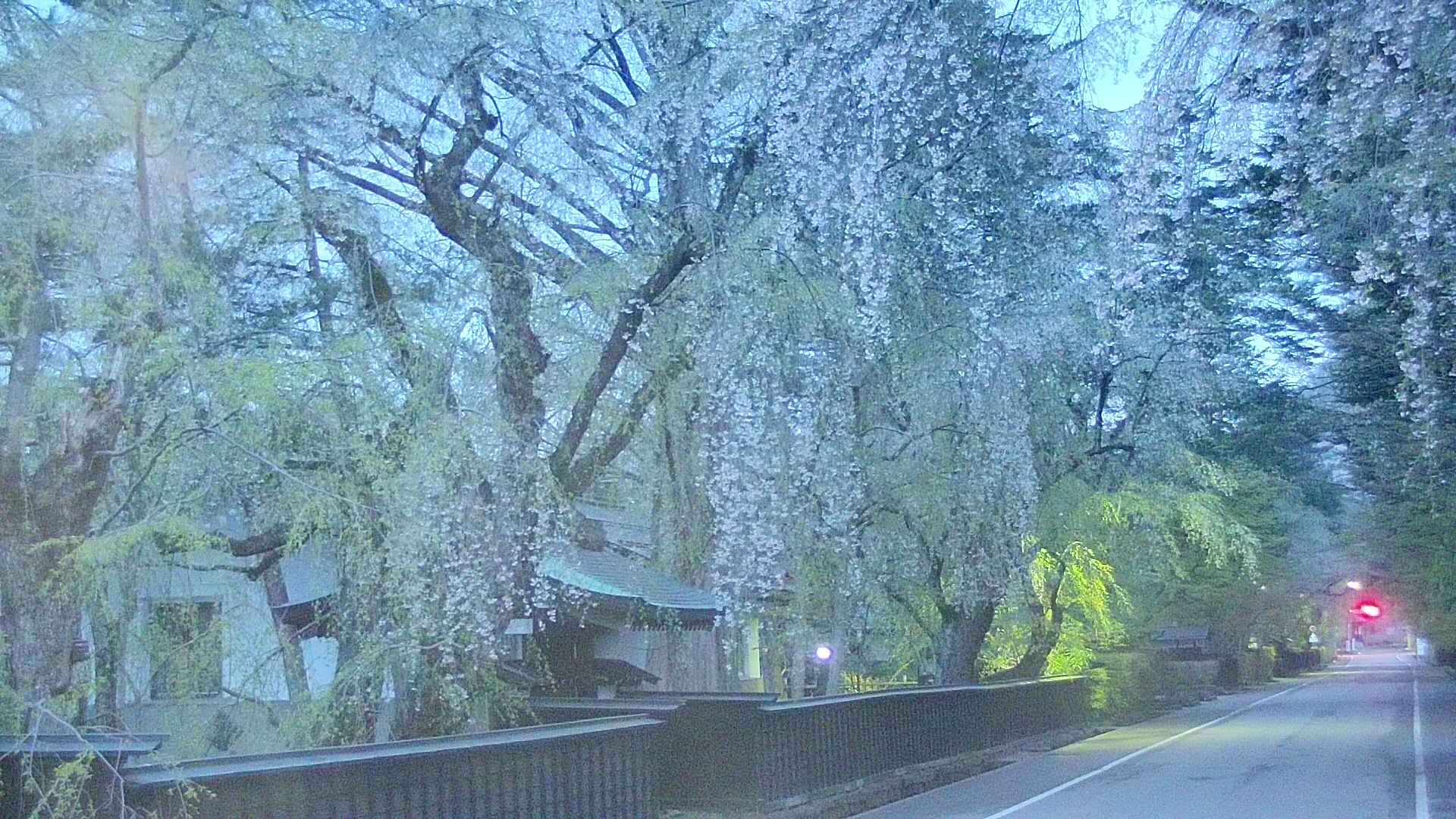 area3-20250428043028.jpg