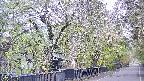 area3-20250428063028.jpg