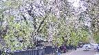 area3-20250428100029.jpg