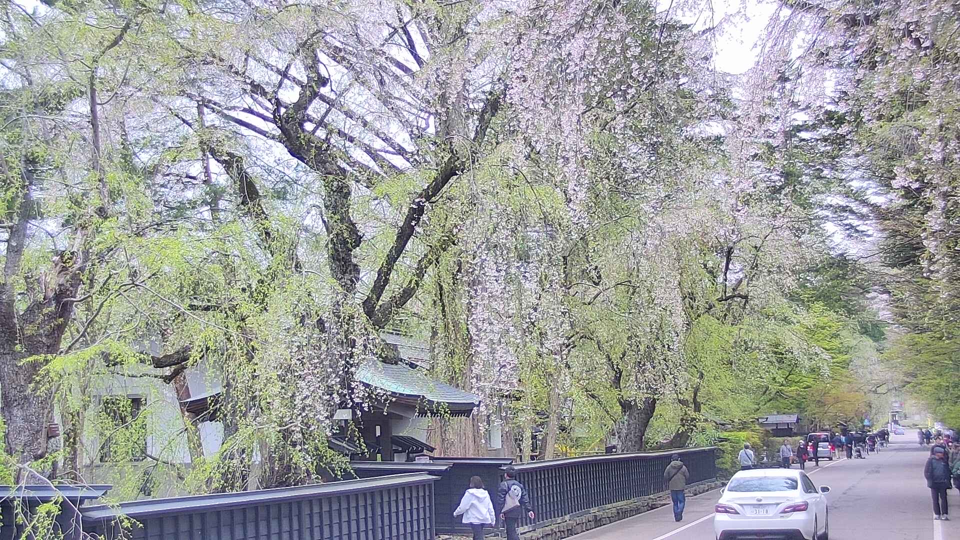 area3-20250428103028.jpg