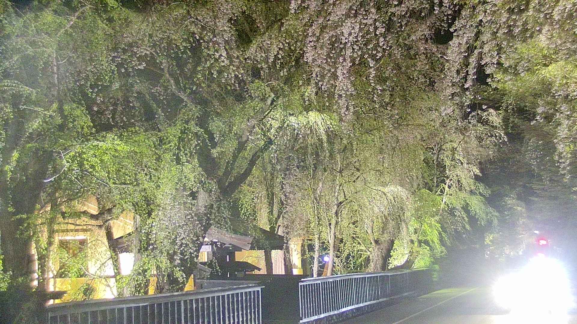 area3-20250428214027.jpg