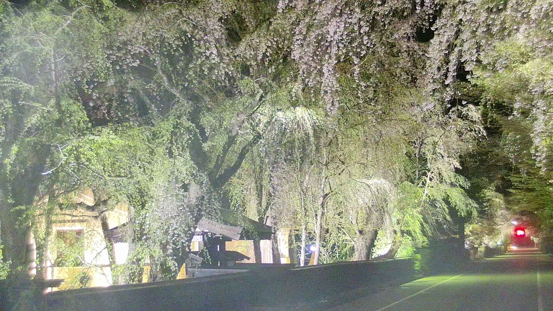 area3-20250428215028.jpg