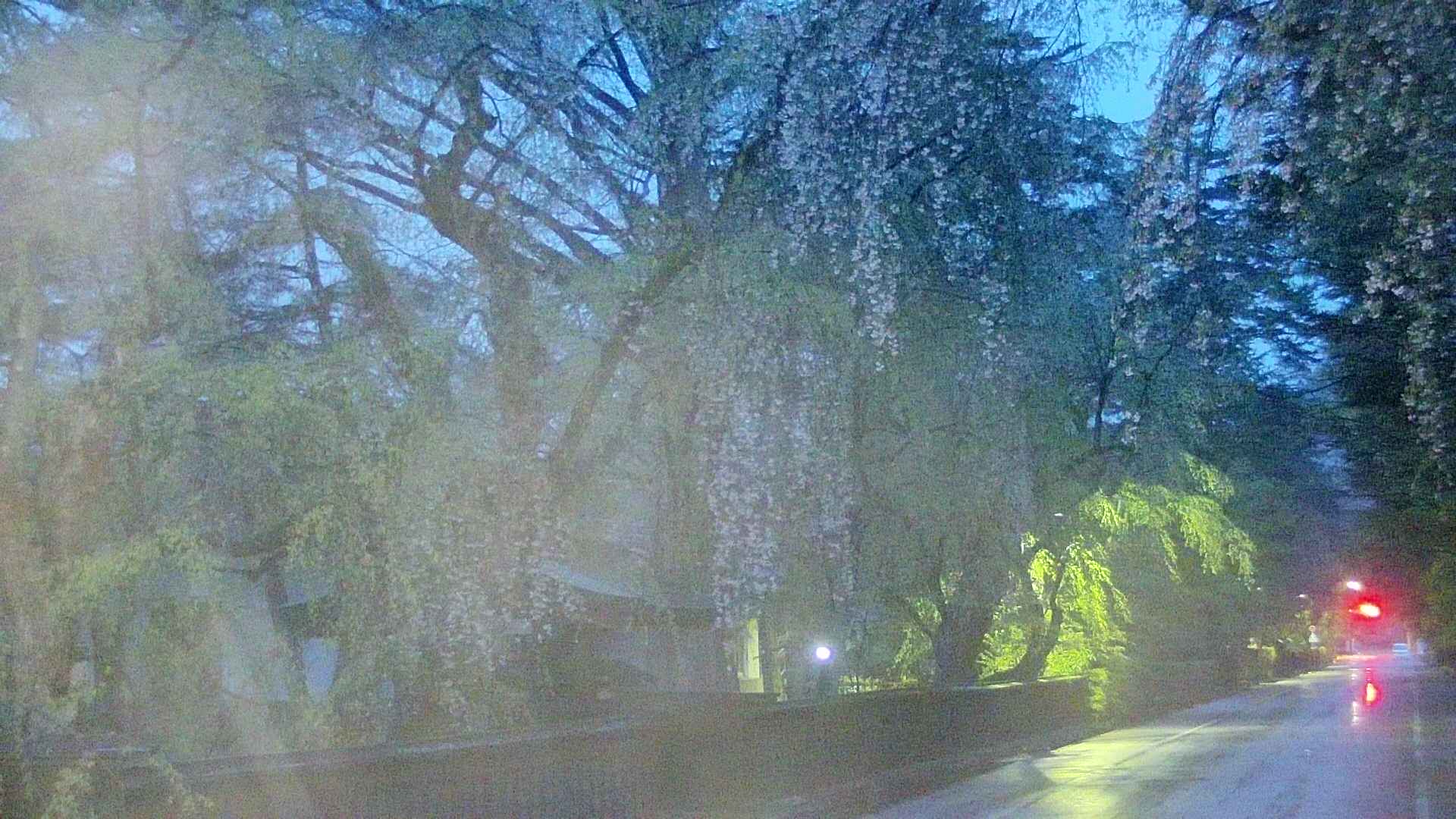 area3-20250429042027.jpg