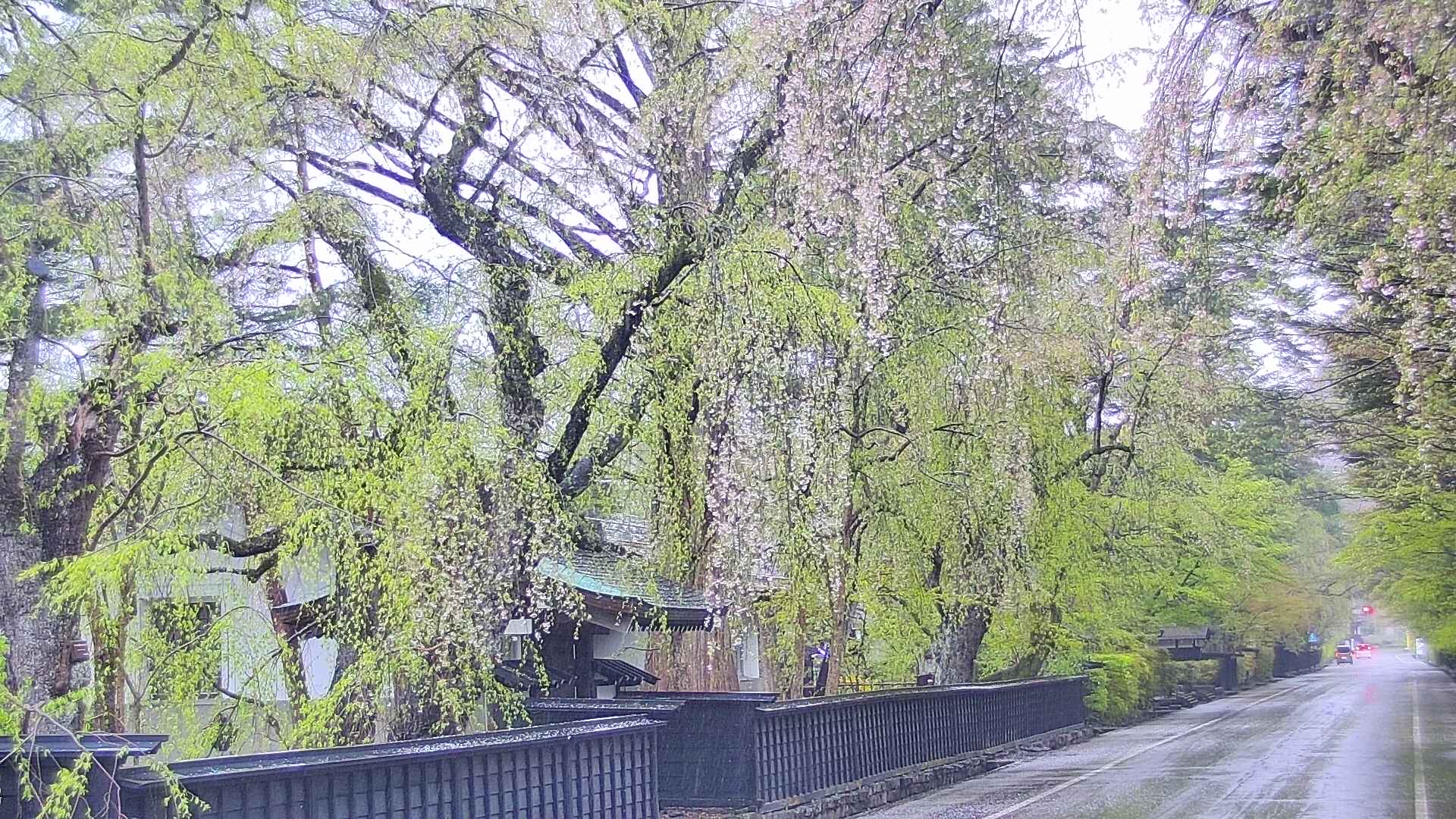 area3-20250429075028.jpg